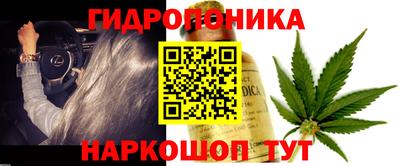 крисы Мариинск