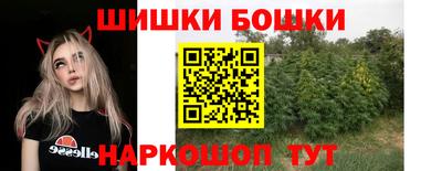 крисы Мариинск