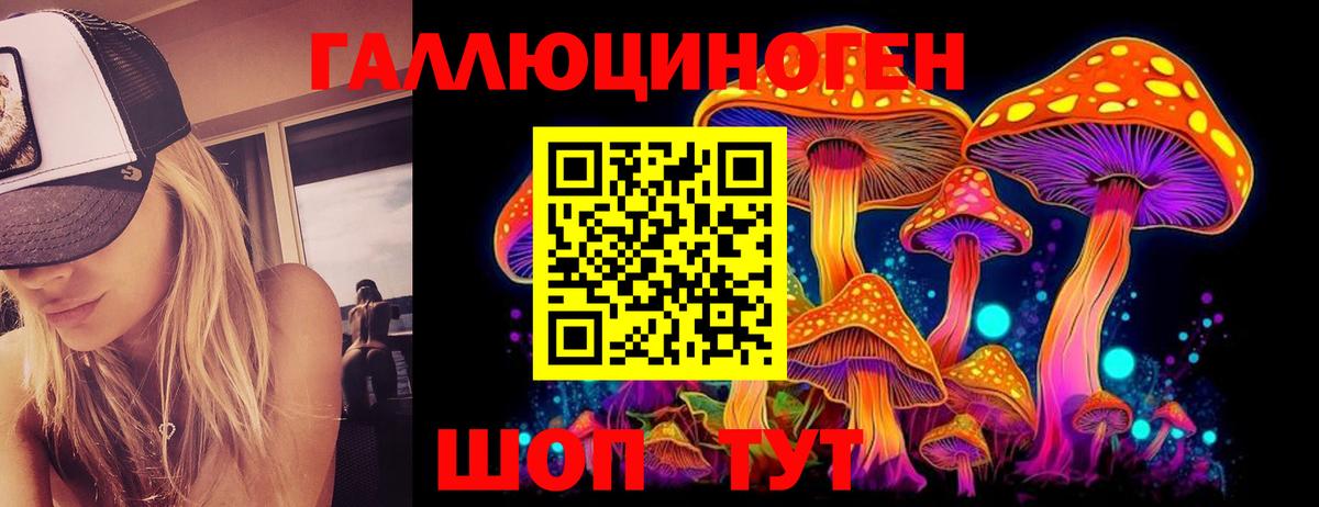 Псилоцибиновые грибы Psilocybine cubensis Чехов